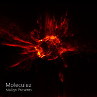 Moleculez - Malign Presents