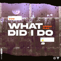 Gordo Flea - What Did I Do (Explicit)