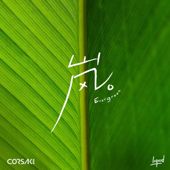 CORSAK - 岚 Evergreen