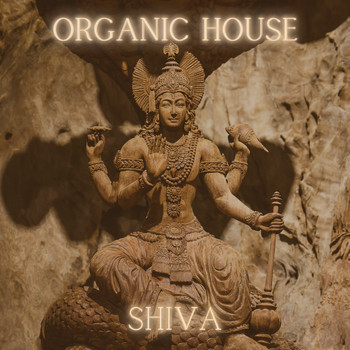 Various Artists - Organic House - Shiva