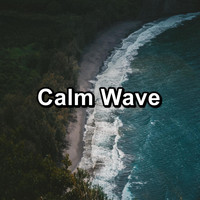 Ocean Waves Sleep Aid - Calm Wave