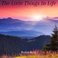 Robin Ross - The Little Things in Life
