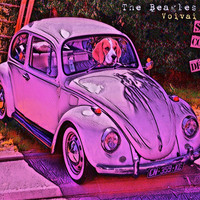 The Beagles - Voivai