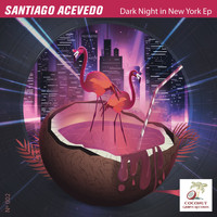 Santiago Acevedo - Dark Night in New York Ep