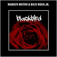 Marilyn McCoo & Billy Davis Jr. - Blackbird