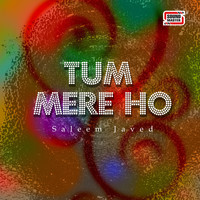 Saleem Javed - Tum Mere Ho