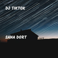 DJ TikTok - Sana Dort