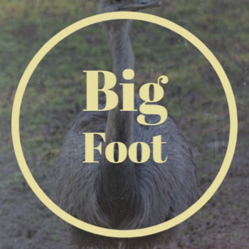 Various Artists - Big Foot