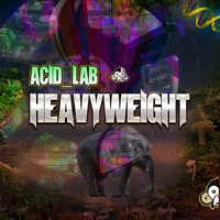 Acid_Lab - Heavyweight