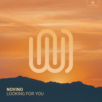 Novino - Looking for You