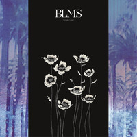 The Mellows - BLMS