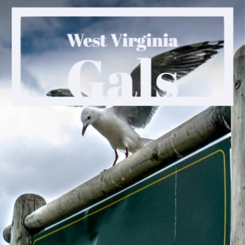Various Artist - West Virginia Gals
