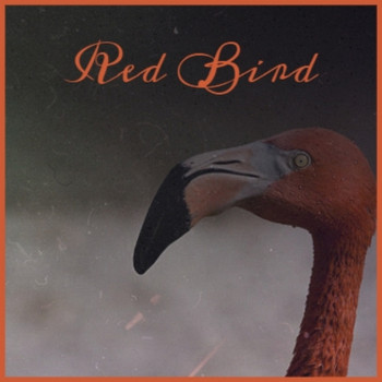Various Artist - Red Bird