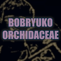 Bobryuko - Orchidaceae