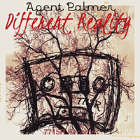 Agent Palmer - Different Reality