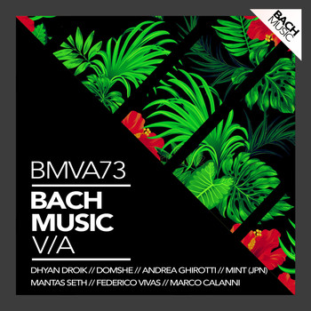 Various Artists - Bach Music VA