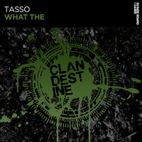 Tasso - What The