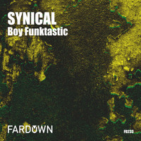 Boy Funktastic - SYNICAL