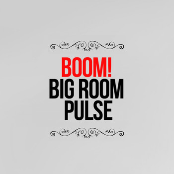 Various Artists - Boom! Big Room Pulse