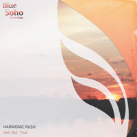 Harmonic Rush - Sad But True