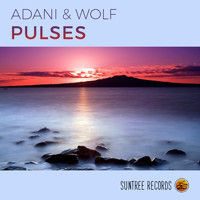Adani & Wolf - Pulses