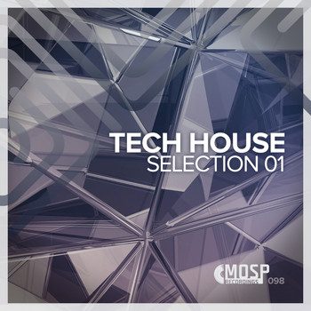 Various Artists - Tech House Selection 01