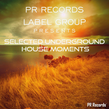 Various Artists - PR Records Label Group Presents selected underground house moments