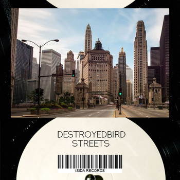 DestroyedBird - Streets