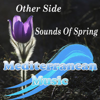 Other Side - Sounds Of Spring (Dmitry Meretskiy Remix)