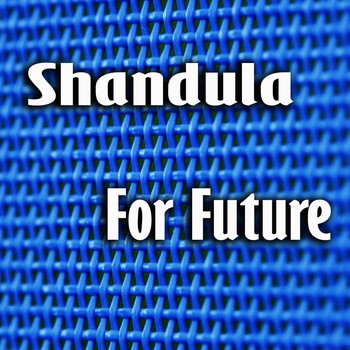 Shandula - For Future