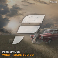 Pete Spruce - What I Made You Do