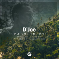 D'Joe - Passing By