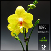 Moon Haunter - At a Distance