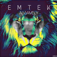Emtek - Assambly