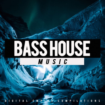 Various Artists - Bass House, Vol.5 (Explicit)