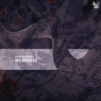 Jaydee Electronica - Wilderness