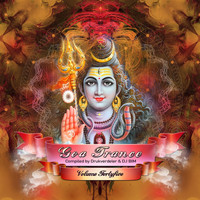 Drukverdeler and DJ Bim - Goa Trance Vol.45