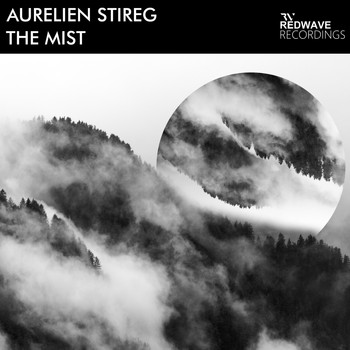 Aurelien Stireg - The Mist