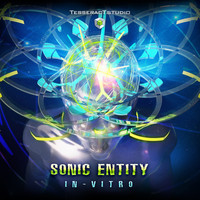 Sonic Entity - In-Vitro