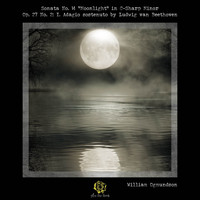 William Ogmundson - Sonata No. 14 "moonlight" in C-Sharp Minor, Op. 27 No. 2: I. Adagio Sostenuto