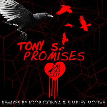 Tony S - Promises