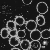 Bad - Cats EP
