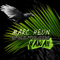 Marc Heun - Hawaii