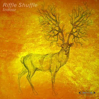 Riffle Shuffle - Indoor