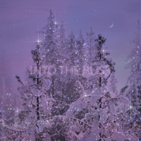 Into the Bliss - Wonderland