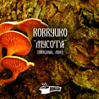Bobryuko - Mycota