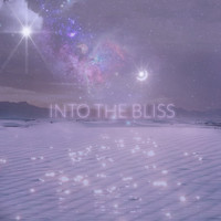 Into the Bliss - Voyage