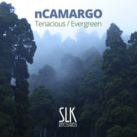 nCamargo - Tenacious