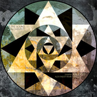 The Sound Alchemyst - Swarm (Alex Raider Remix)