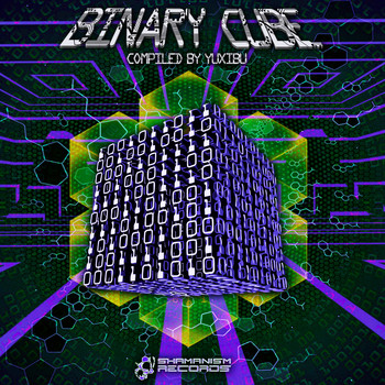 Various Artists - Binary Cube